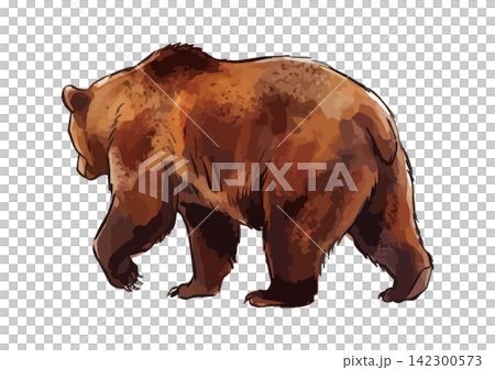A mouthwatering illustration of a brown bear A mouthwatering illustration of a brown bear 142300573