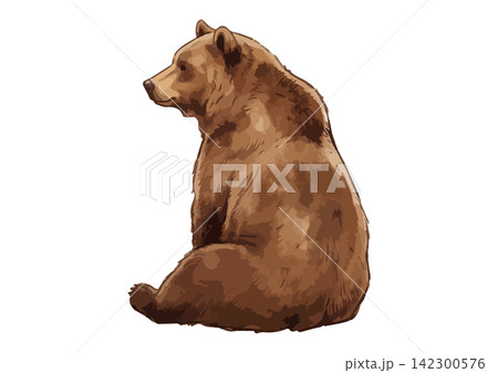 シズル感のあるヒグマのイラスト シズル感のあるヒグマのイラスト 142300576