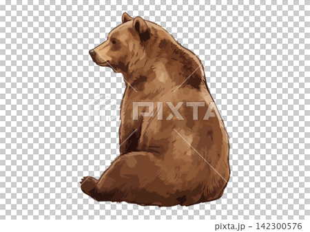 シズル感のあるヒグマのイラスト シズル感のあるヒグマのイラスト 142300576