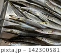 カマス 142300581