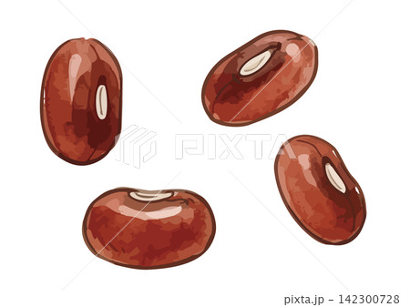 シズル感のある小豆のイラスト 142300728
