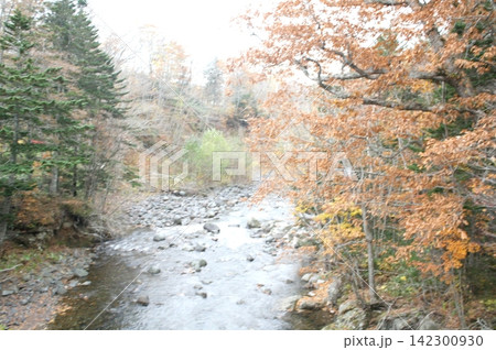 北海道 大滝の紅葉の風景(2012年10月撮影) 142300930
