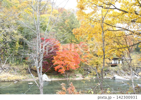 北海道 大滝の紅葉の風景(2012年10月撮影) 142300931