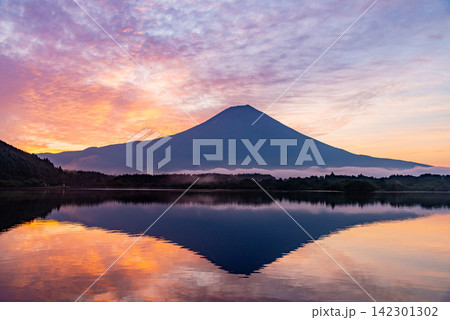 【静岡県】朝焼けに染まる田貫湖と富士山 【静岡県】朝焼けに染まる田貫湖と富士山 142301302