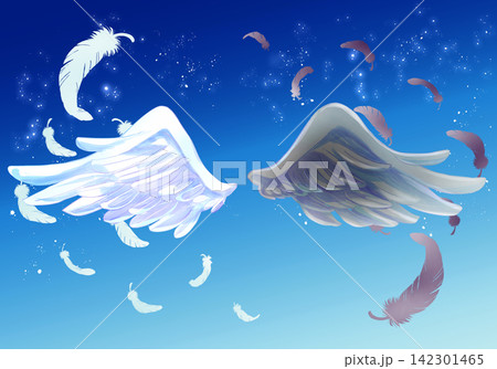 舞い散る白と黒の翼と羽根 夜空 舞い散る白と黒の翼と羽根 夜空 142301465