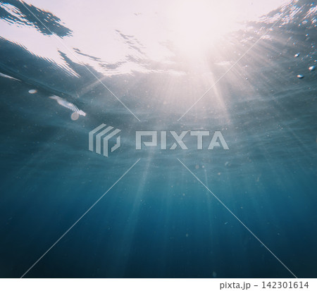 Sunlight streams through transparent ocean water illuminating delicate drifting particles beneath the surface 142301614