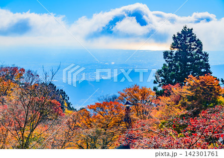 秋の快晴の朝 大山阿夫利神社下社の境内から望む朝日に照らされた紅葉越しの相模湾の大展望 142301761