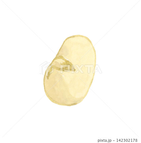 煎り大豆(炒り大豆) 手描き水彩イラスト素材 煎り大豆(炒り大豆) 手描き水彩イラスト素材 142302178