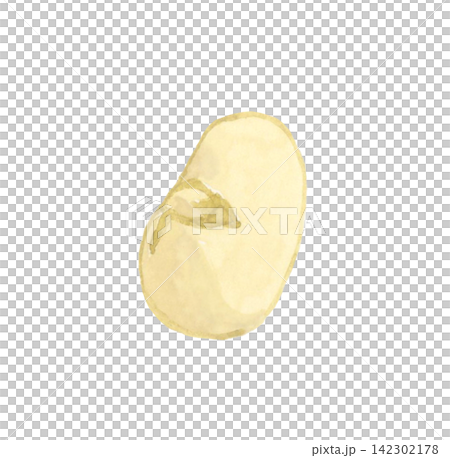 煎り大豆(炒り大豆) 手描き水彩イラスト素材 煎り大豆(炒り大豆) 手描き水彩イラスト素材 142302178