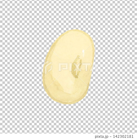 煎り大豆（炒り大豆）　手描き水彩イラスト素材 142302181