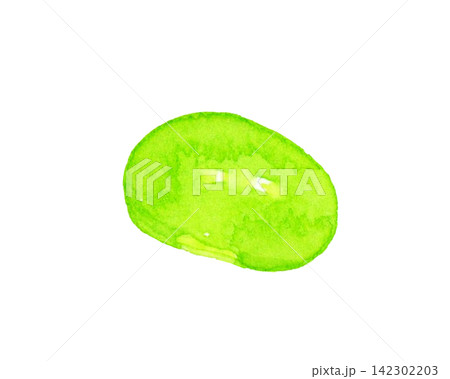 枝豆(単品) 夏野菜の手描き水彩イラスト素材 枝豆(単品) 夏野菜の手描き水彩イラスト素材 142302203