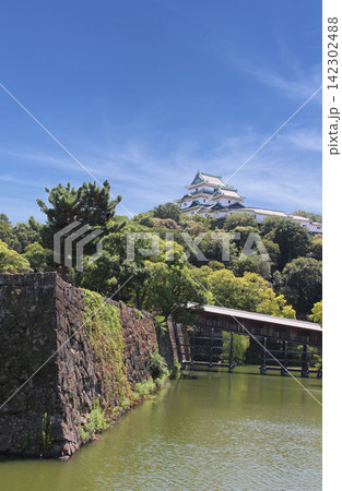 青空と和歌山城と御橋廊下 青空と和歌山城と御橋廊下 142302488
