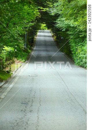 両側を濃い緑の木々に囲まれた真っすぐな道路を撮影した風景。 142302508