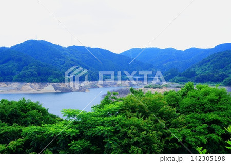 緑の山々に囲まれた水位の低いダム湖 142305198