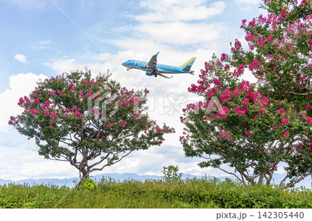信州の夏空 信州の夏空 142305440