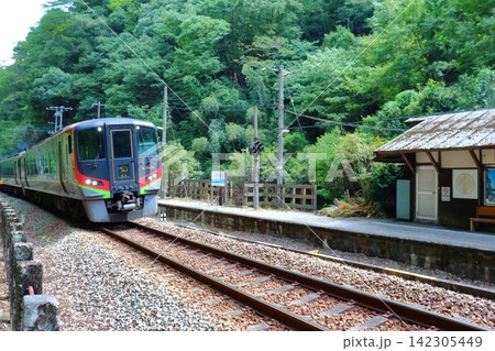 JR四国 土讃線の秘境駅 坪尻駅を通過する特急南風（徳島県三好市） 142305449