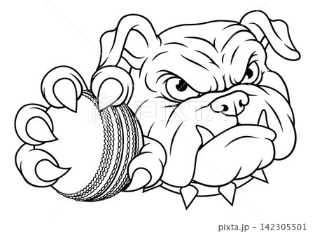 Bulldog Dog Cricket Ball Cartoon Sport Team Mascot Bulldog Dog Cricket Ball Cartoon Sport Team Mascot 142305501