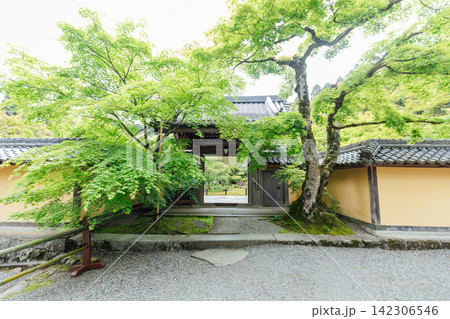 【滋賀県東近江市】西明寺 庭園出入口 【滋賀県東近江市】西明寺 庭園出入口 142306546