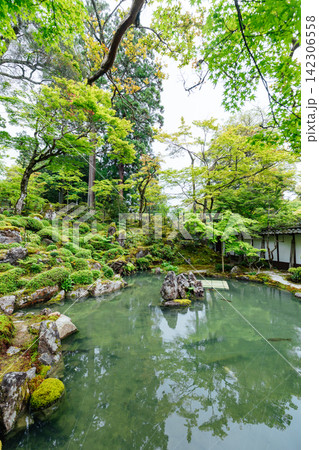 【滋賀県東近江市】西明寺　名勝庭園　蓬莱庭 142306558