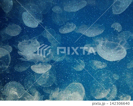 ゲーム背景　星空のような夜空を漂うクラゲ 142306640