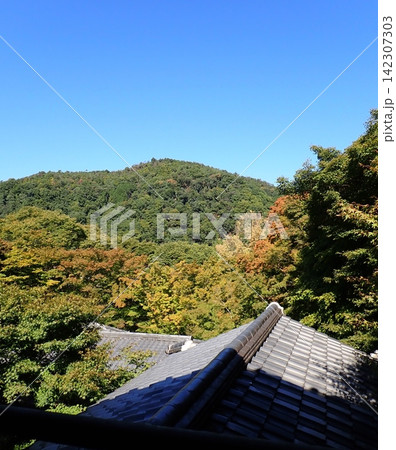 京都 瑠璃光院 屋根 秋 京都 瑠璃光院 屋根 秋 142307303