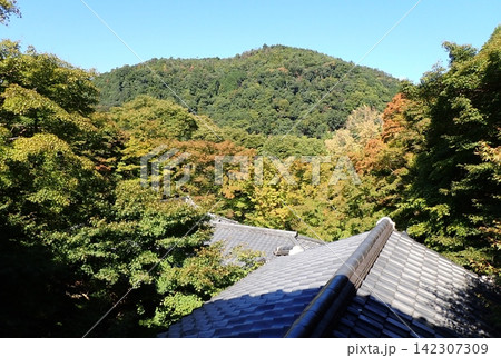 京都 瑠璃光院 屋根 秋 京都 瑠璃光院 屋根 秋 142307309