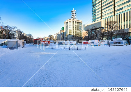 さっぽろ雪まつり大通会場の風景 さっぽろ雪まつり大通会場の風景 142307643