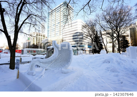 さっぽろ雪まつり大通会場の風景 さっぽろ雪まつり大通会場の風景 142307646