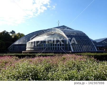 温室外観 京都府立植物園 温室外観 京都府立植物園 142307898