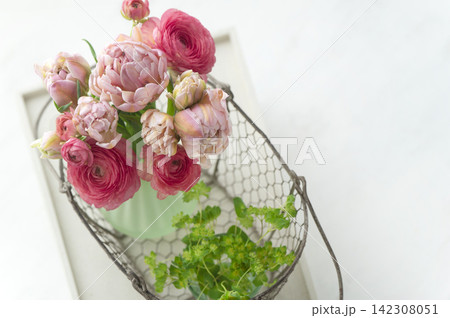 春色のチューリップとラナンキュラスを飾った華やかな花束 142308051