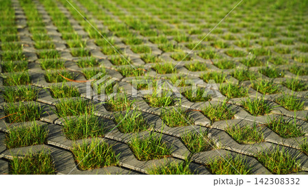 Interlocking concrete pavers creating a permeable grid with green grass growing through, an eco-friendly landscaping solution Interlocking concrete pavers creating a permeable grid with green grass growing through, an eco-friendly landscaping solution 142308332