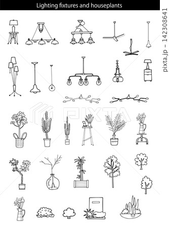 照明器具と観葉植物セット 142308641