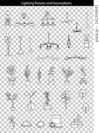 照明器具と観葉植物セット 142308641