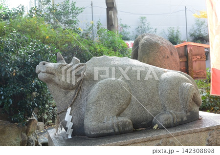 牛の石像（安井(安居)神社 境内／大阪府大阪市天王寺区逢阪1-3-24） 142308898