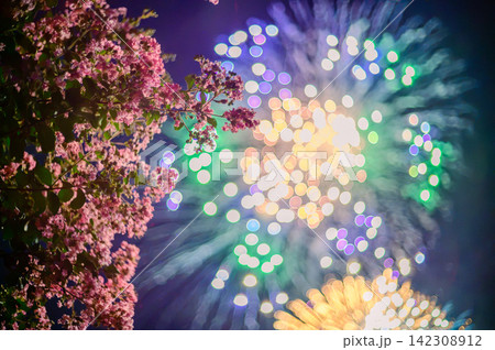 真夏の花火大会 真夏の花火大会 142308912