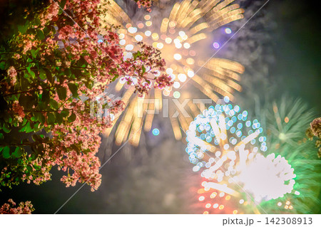 真夏の花火大会 真夏の花火大会 142308913