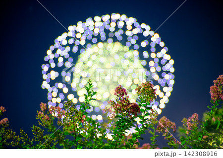 真夏の花火大会 真夏の花火大会 142308916