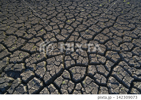 Cracked dry pond bed during severe drought Cracked dry pond bed during severe drought 142309073