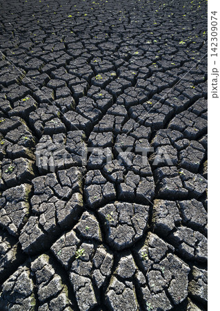 Deep fissures in arid cracked earth during prolonged drought Deep fissures in arid cracked earth during prolonged drought 142309074