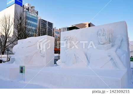 さっぽろ雪まつり大通会場の風景 さっぽろ雪まつり大通会場の風景 142309255