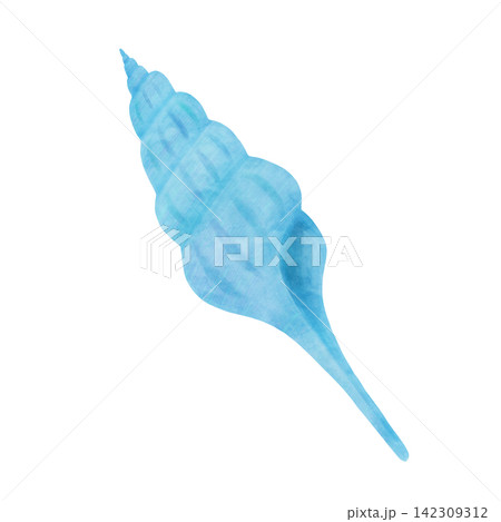 青い巻貝の水彩風イラスト 青い巻貝の水彩風イラスト 142309312