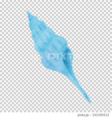 青い巻貝の水彩風イラスト 青い巻貝の水彩風イラスト 142309312