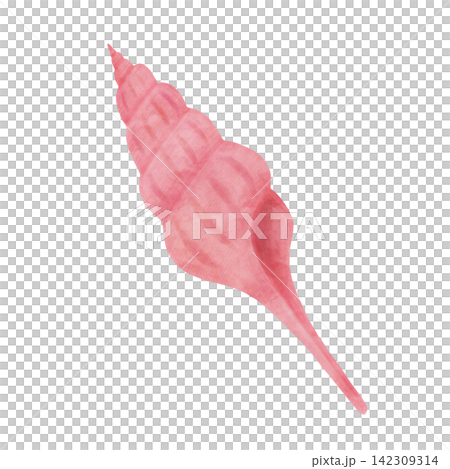 A watercolor-style illustration of a pink seashell. A watercolor-style illustration of a pink seashell. 142309314