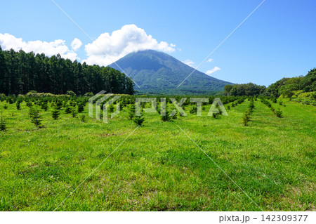 ふきだし公園展望台のさらに奥の方から見る後方羊蹄山 ふきだし公園展望台のさらに奥の方から見る後方羊蹄山 142309377