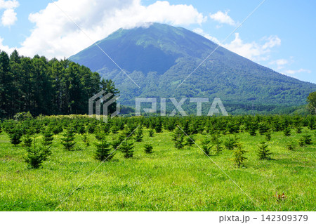 ふきだし公園展望台のさらに奥の方から見る後方羊蹄山 ふきだし公園展望台のさらに奥の方から見る後方羊蹄山 142309379
