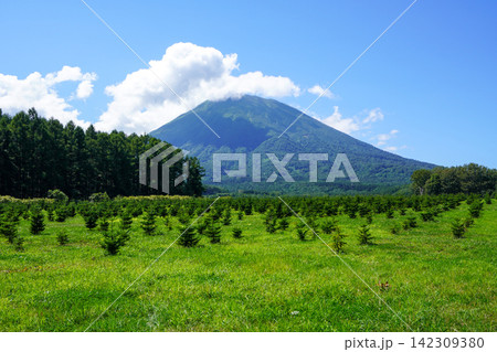 ふきだし公園展望台のさらに奥の方から見る後方羊蹄山 142309380