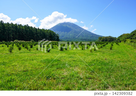 ふきだし公園展望台のさらに奥の方から見る後方羊蹄山 142309382
