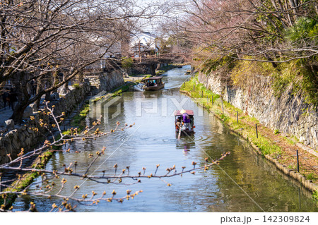 【重要伝統的建造物群保存地区】八幡 八幡堀の春の風景5 滋賀県近江八幡市 【重要伝統的建造物群保存地区】八幡 八幡堀の春の風景5 滋賀県近江八幡市 142309824