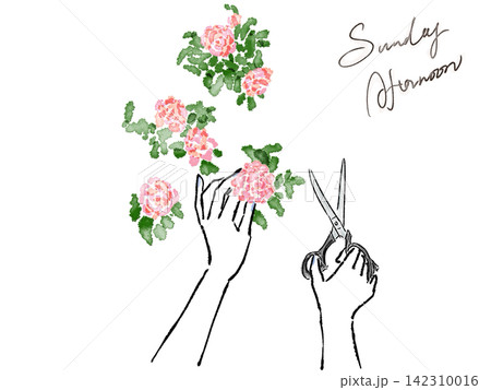 花を切る手とはさみ 花を切る手とはさみ 142310016