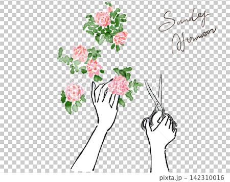 花を切る手とはさみ 花を切る手とはさみ 142310016